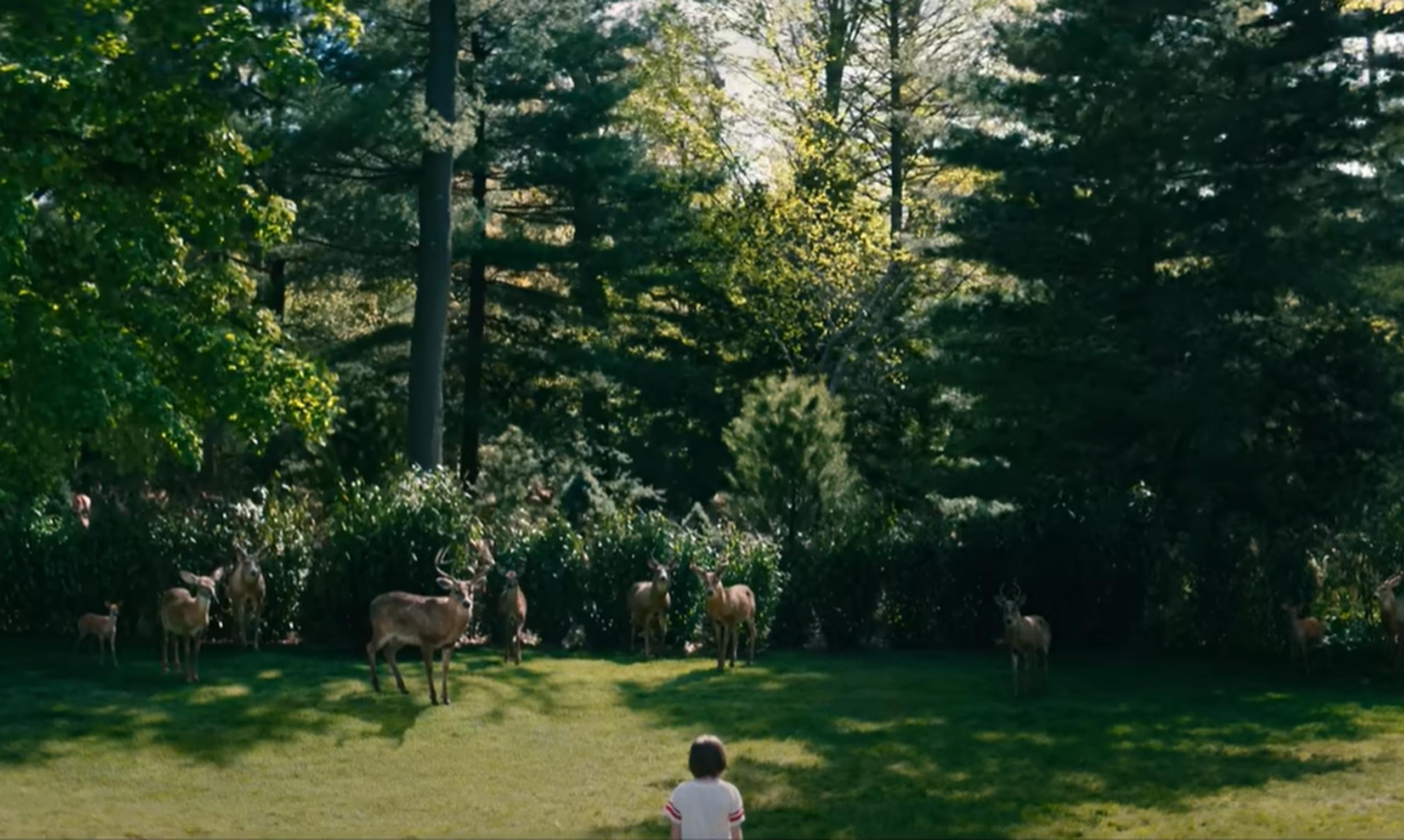 Una de las escenas en la que aparecen los ciervos en la película “Leave the World Behind”.
