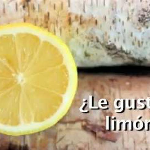 Encuesta: ¿para qué usas el limón?