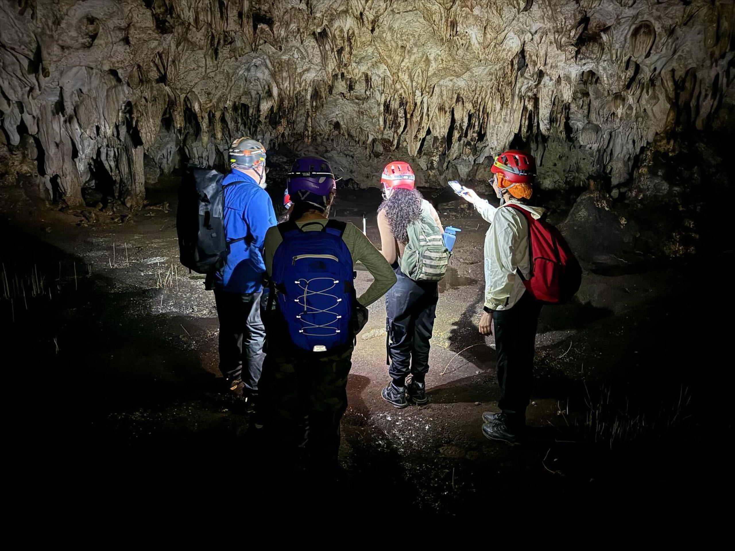 Las estudiantes y el profesor examinan el interior de una cueva en la zona de Arecibo.