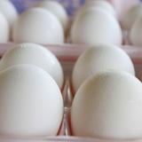 Mayor productor de huevos de EEUU detiene producción tras detectar gripe aviar