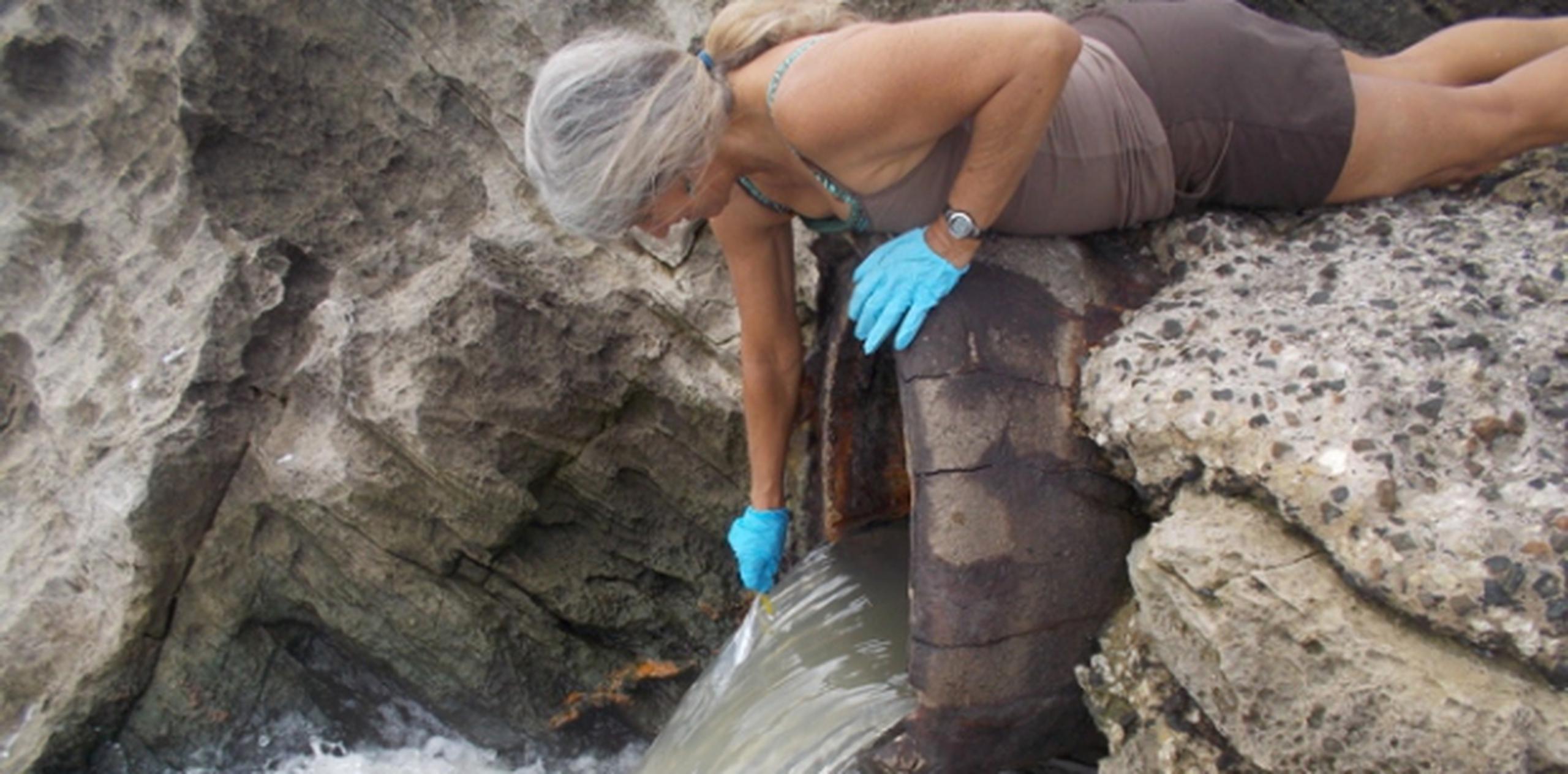 Kathy Hall, vicepresidenta de la organización -tomando una muestra del tubo en Sardineras- es la líder del programa de monitoreo de agua. (Suministrada)