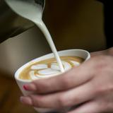 ¿Cuánto costaría una taza de café ante el aumento a los precios?