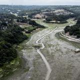 La sequía lleva al río Amazonas a niveles mínimos a su paso por Brasil 