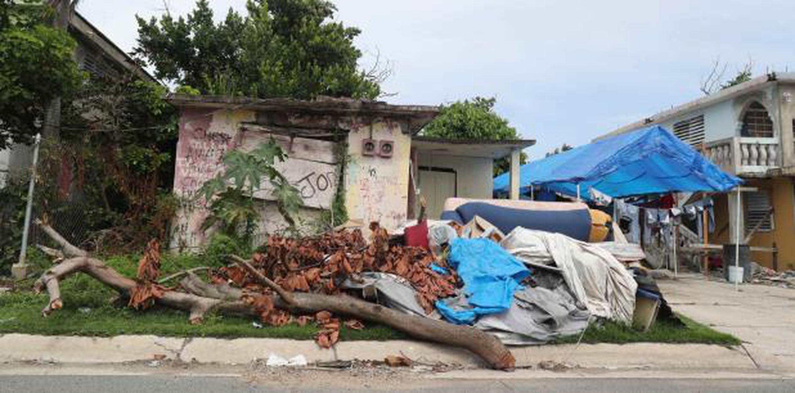 Decenas de hogares en Loíza permanecen en ruinas, abrazadas por enredaderas y escombros. (david.villafane@gfrmedia.com)
