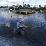 Miles todavía no tienen luz en Florida tras paso del huracán Ian