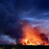 Trabajos de extinción de incendio forestal en Toa Baja continuarán el viernes en la mañana