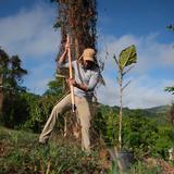 Para la Naturaleza siembra más de 5,200 árboles nativos y endémicos en un solo día