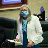 Delegación novoprogresista pide que haya “consecuencias” contra Lisie Burgos