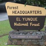 Cerrarán varias carreteras de El Yunque debido a trabajos de construcción