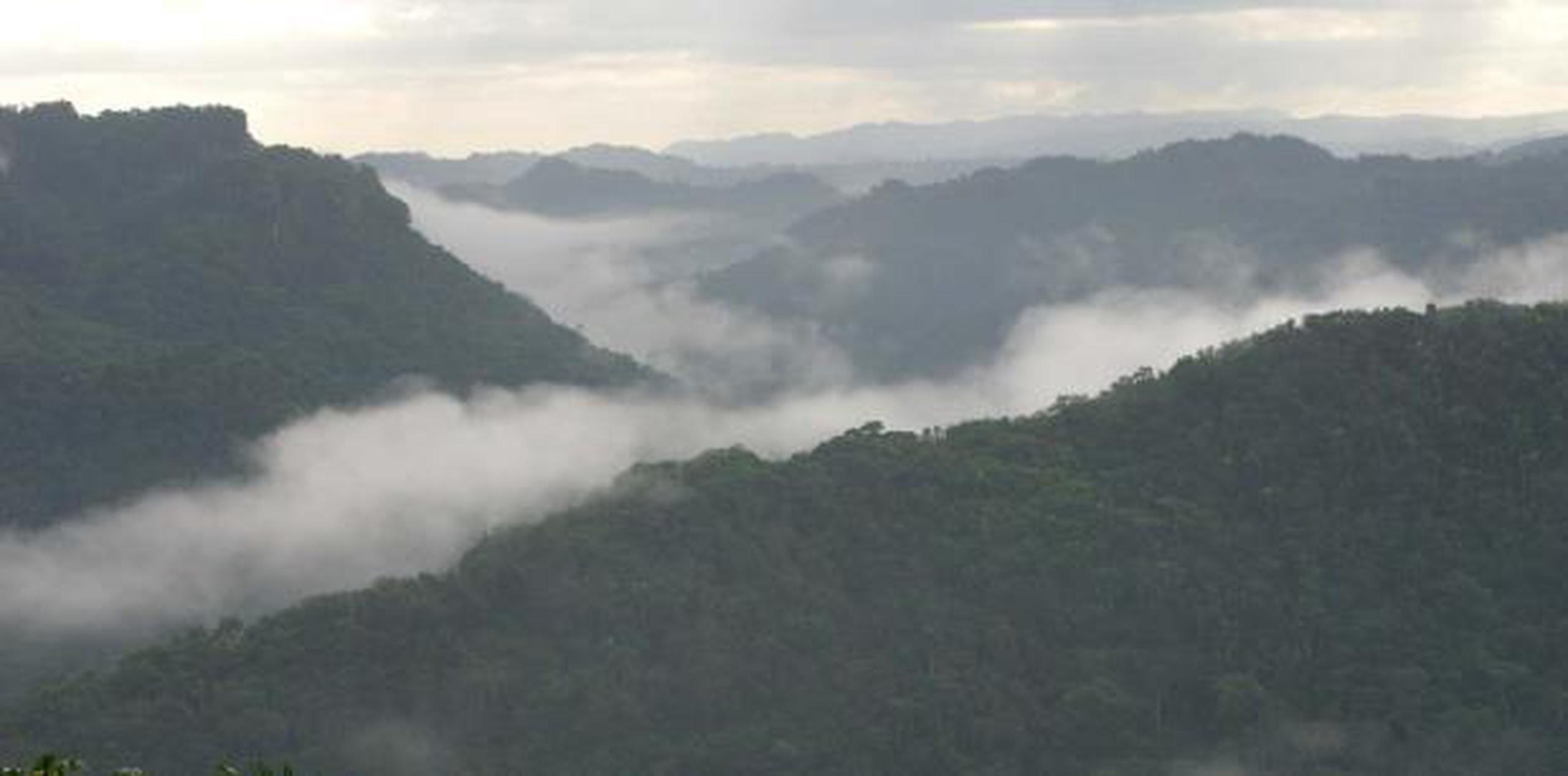 La neblina arropa gran parte de las montanas del centro de la isla. (Archivo)
