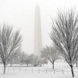 Nieve arropa los históricos monumentos de Washington