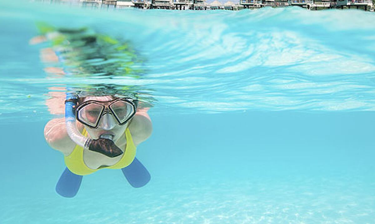 Consejos básicos para disfrutar del snorkeling Primera Hora