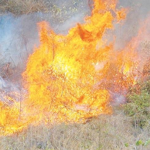 La hora del tiempo: peligro de fuego forestal en el sur de la Isla