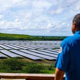 Pierluisi inaugura la finca solar más grande de Puerto Rico