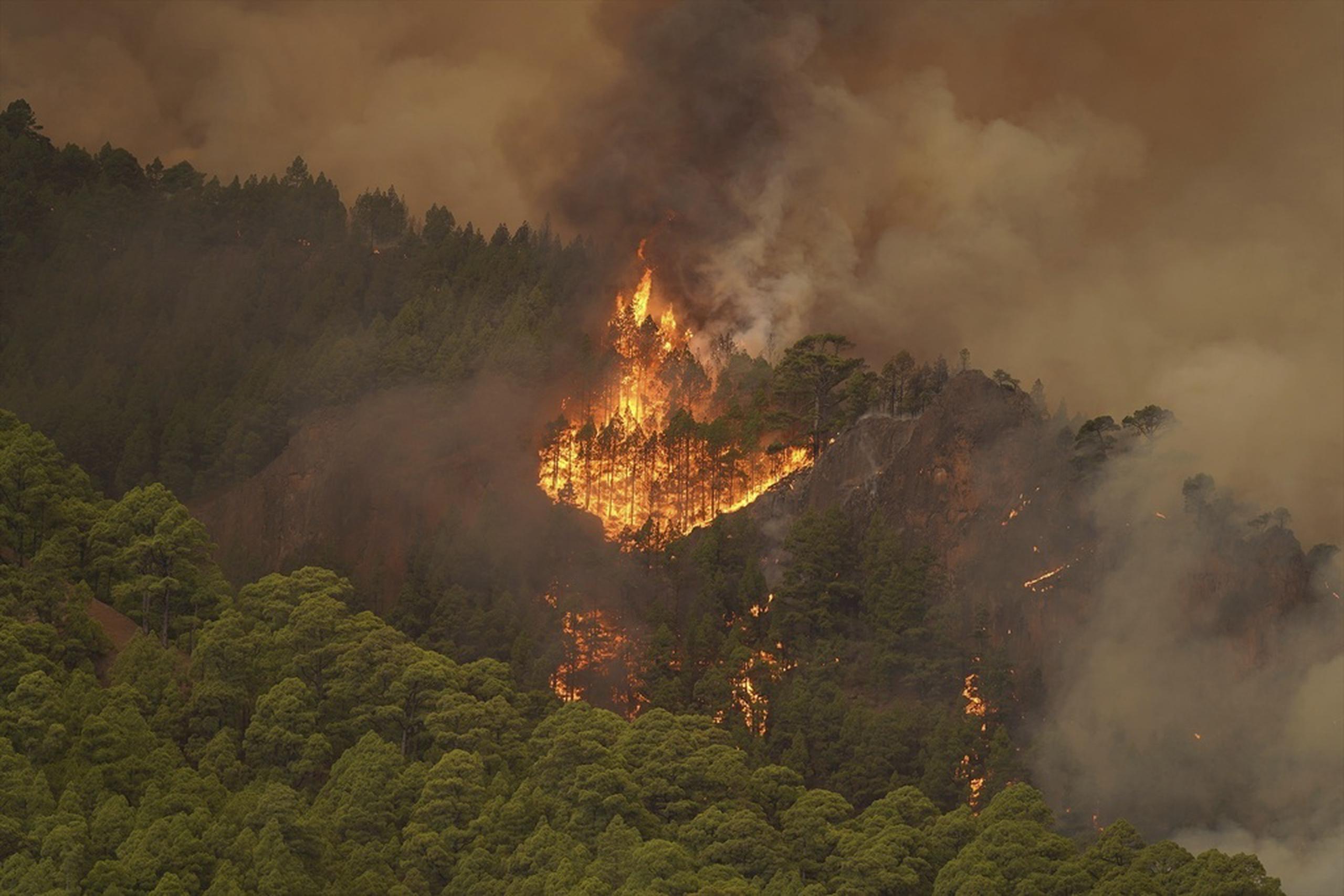 El comienzo de la cuaresma marca el inicio de la temporada de fuegos de pasto e incendios forestales, cuando las condiciones climatológicas suelen tornarse más secas.