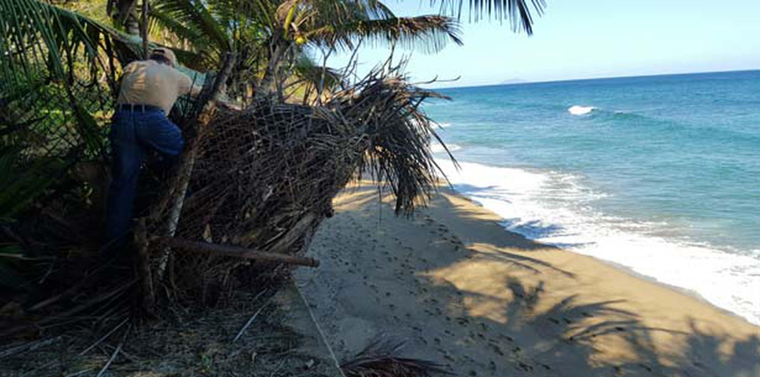 Vecinos del barrio Puntas en Rincón le exigieron al Gobierno que defienda -en la zona marítimo terrestre un camino -que sale del km 3.3 en la carretera PR-413- colindante a la playa Sandy Beach. (Para Primera Hora / Daileen Rodríguez)
