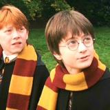 En silla de ruedas uno de los más queridos actores de Harry Potter