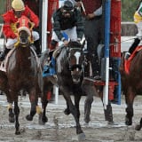 Dos dueños de caballos boricuas consideran llevar sus ejemplares a la Serie Hípica del Caribe