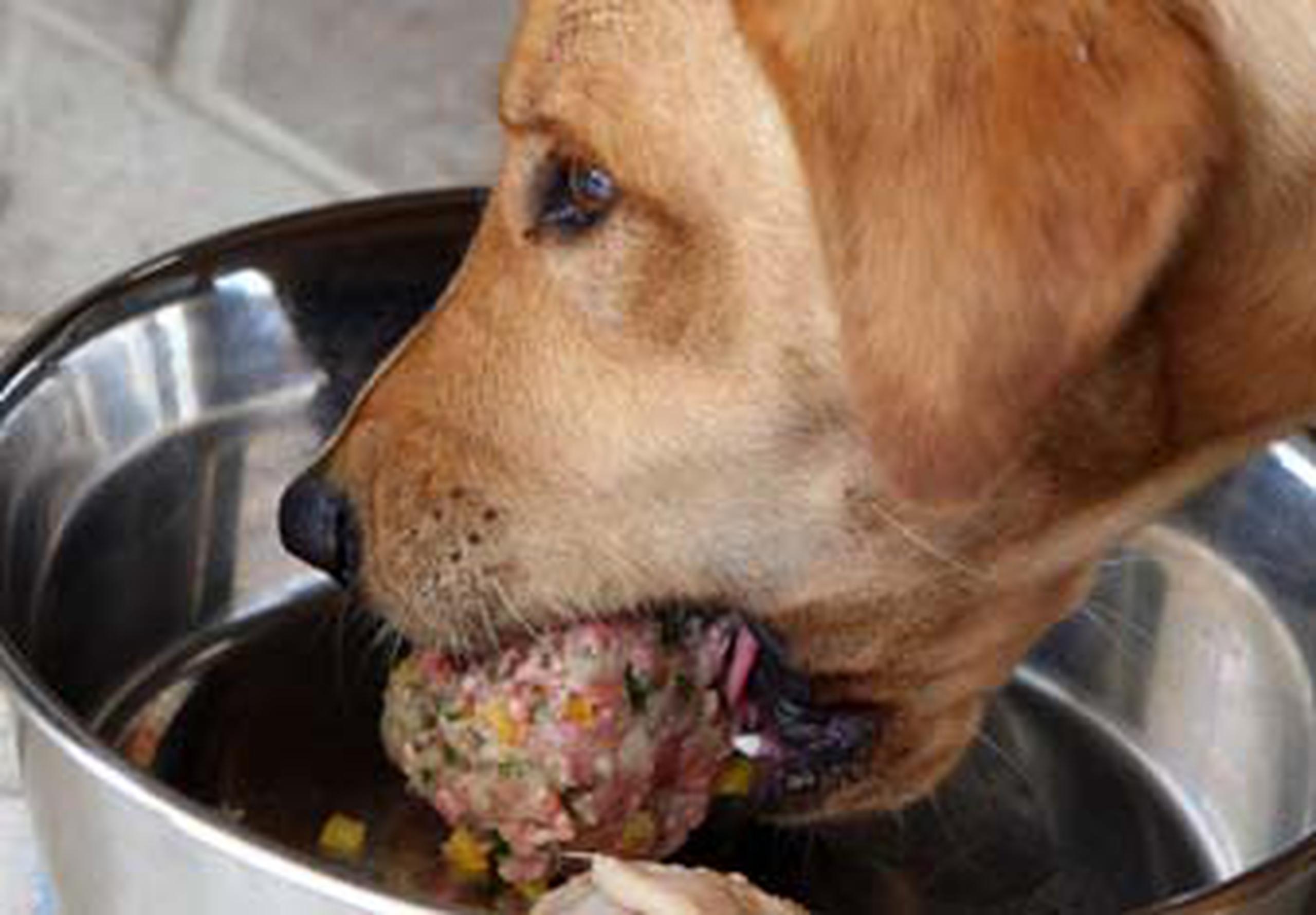 mi perro puede comer higado crudo