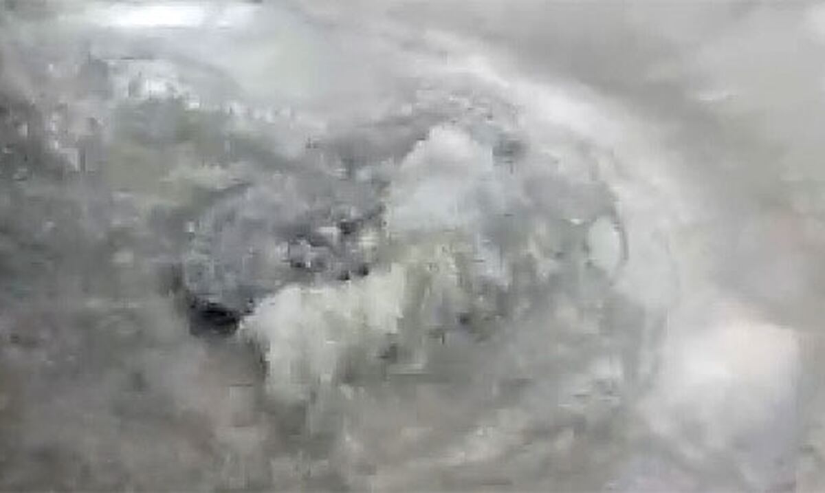 AAA acepta desbordes de agua en estación de Las Piedras ...