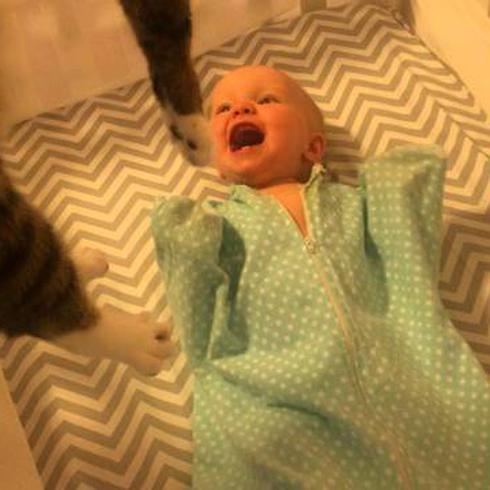 ¡Mira la asombrosa reacción de este bebé al ver un gatito!