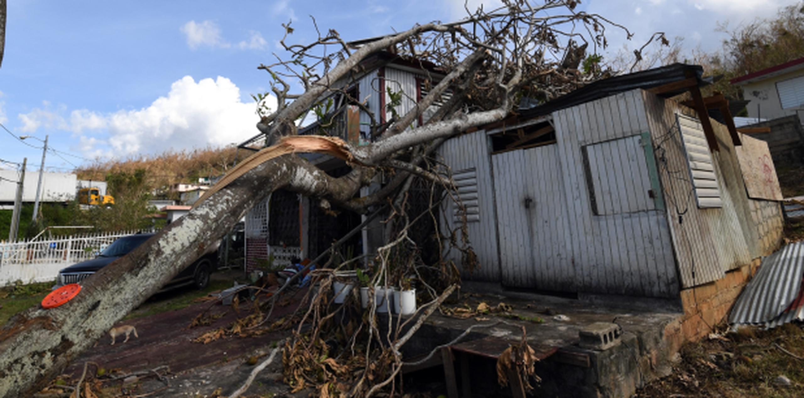 Murray decidió ayudar a Puerto Rico, donde nació, al ser impactado por las imágenes que veía, como podría ser esta casa destruida por el huracán María en Barceloneta. (andre.kang@gfrmedia.com)

