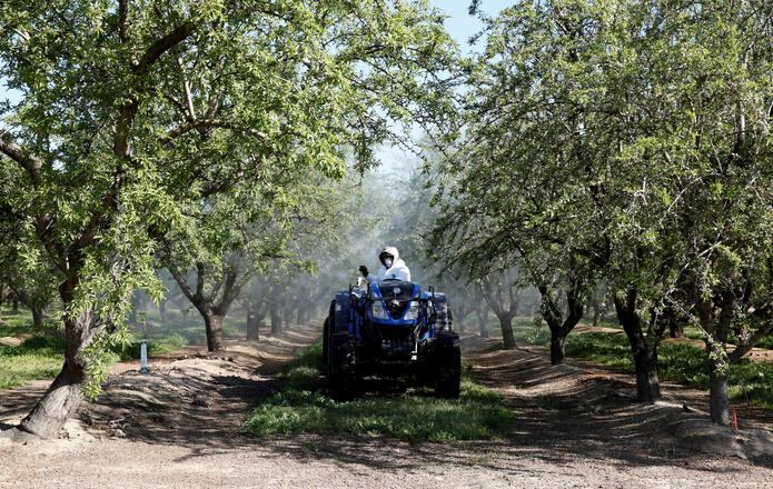 Fotografía de archivo de un hombre que aplica insecticida desde un tractor en un huerto de almendros en el valle central de San Joaquín, cerca de Ripon, California, (EE. UU.). EFE/MIKE NELSON
