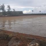 Inundación de sargazo afecta zona de buceo en El Escambrón