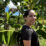Agricultora empuja el crecimiento de la Finca Guzmán en Maunabo 