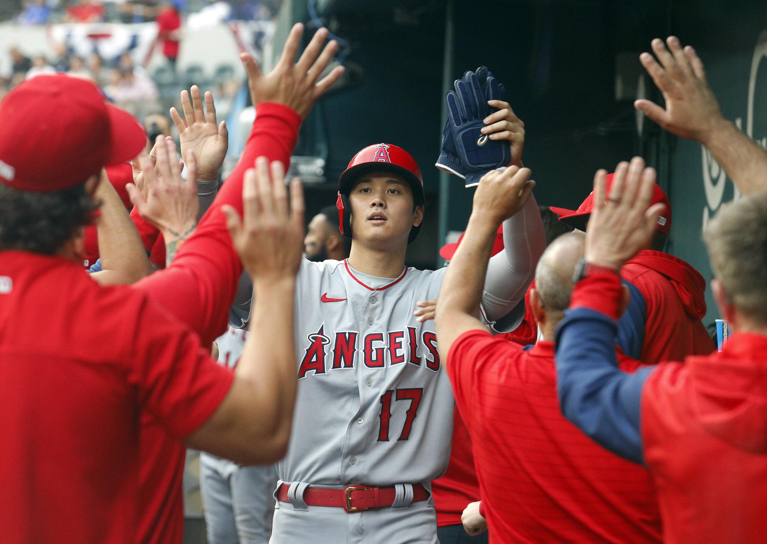El bateador designado de los Angels de Los Angeles, Shohei Ohtani (17), celebra con sus compañeros tras sacudir su cuadrangular del sábado ante los Rangers de Texas, su tercer bambinazo en dos días.