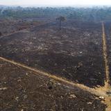 La deforestación de la Amazonía brasileña marca histórico en febrero 