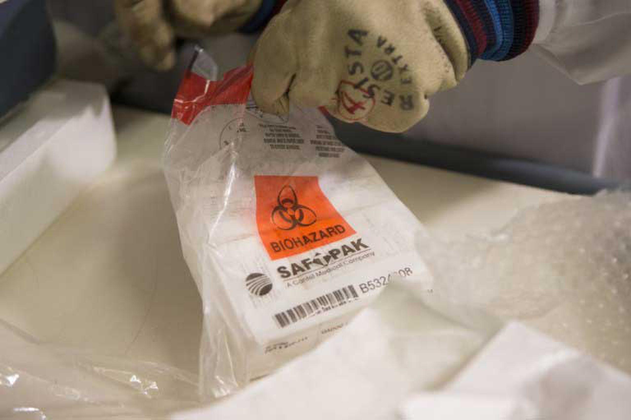 En la foto, un lote de vacuna experimental VEVr Ebola, desarrollado en el Laboratorio Nacional de Microbiología en Winnipeg, Canada. (AFP)