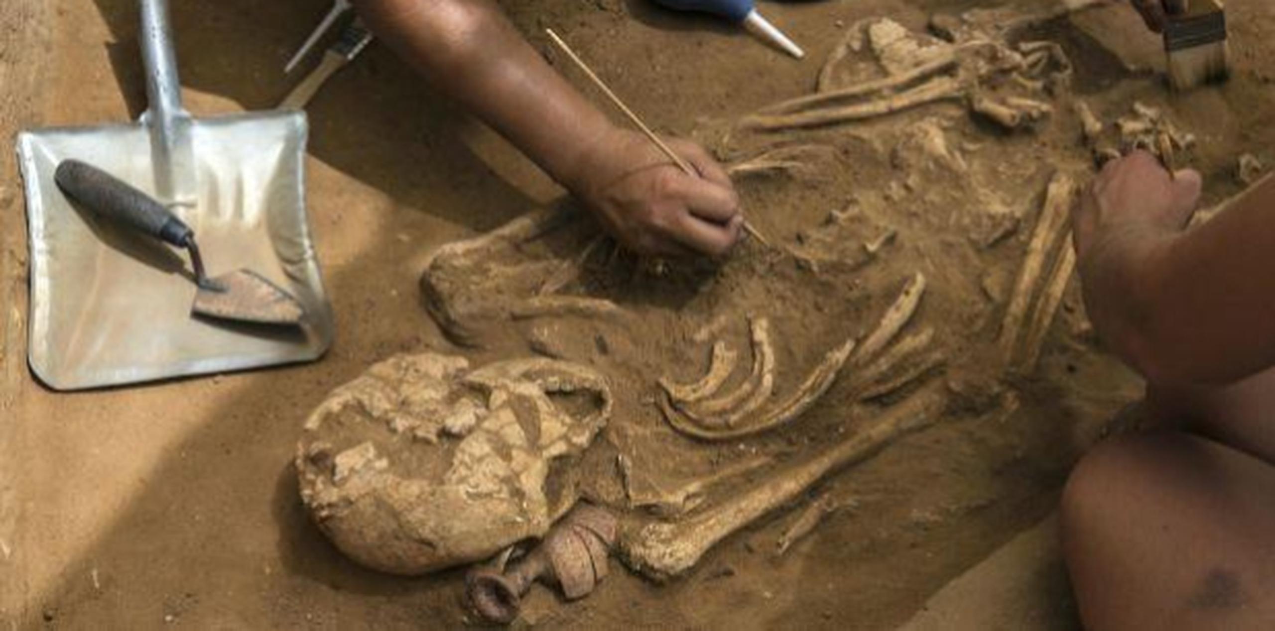 Especialistas desenterrado uno de los restos encontrados en el cementerio. (AP)