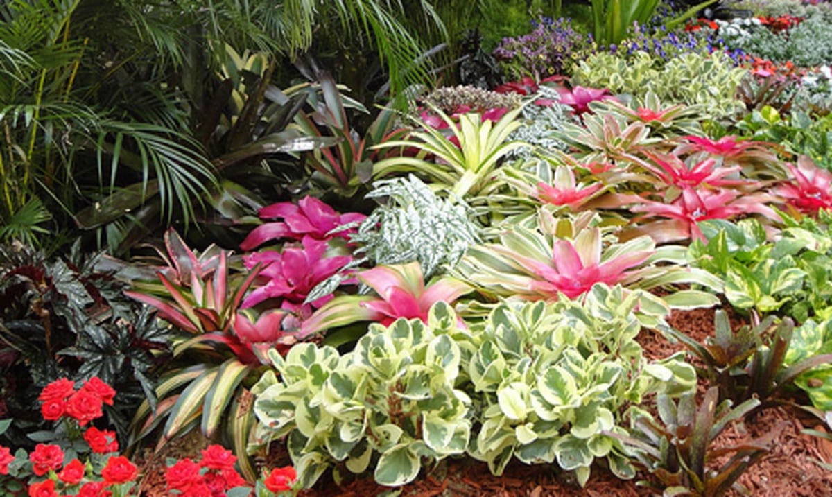 Regresa el festival de las flores a Aibonito Primera Hora