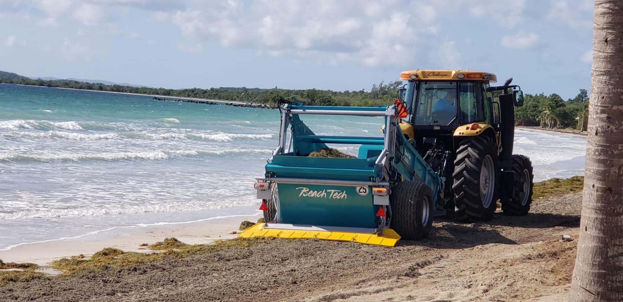 Remoción del sargazo en playa Los Macho en Ceiba