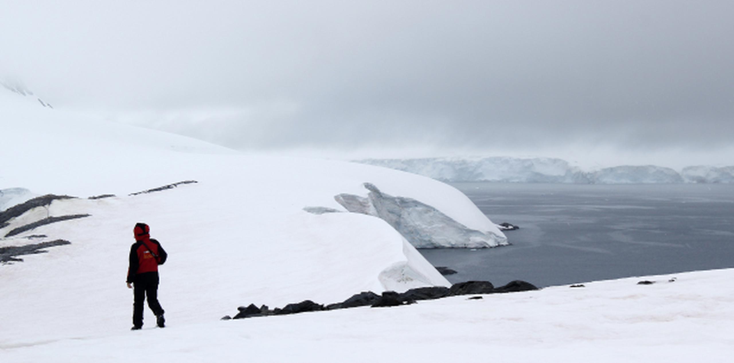 Según un experto, el deshielo afectaría principalmente la península Antártica y la costa este del continente. (EFE)