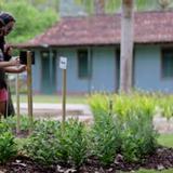 Abre Jardín Sensorial para la comunidad no vidente en el Jardín Botánico de Caguas
