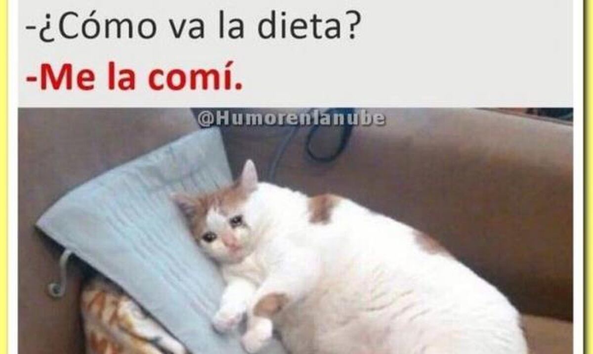 Los mejores memes de la semana Primera Hora