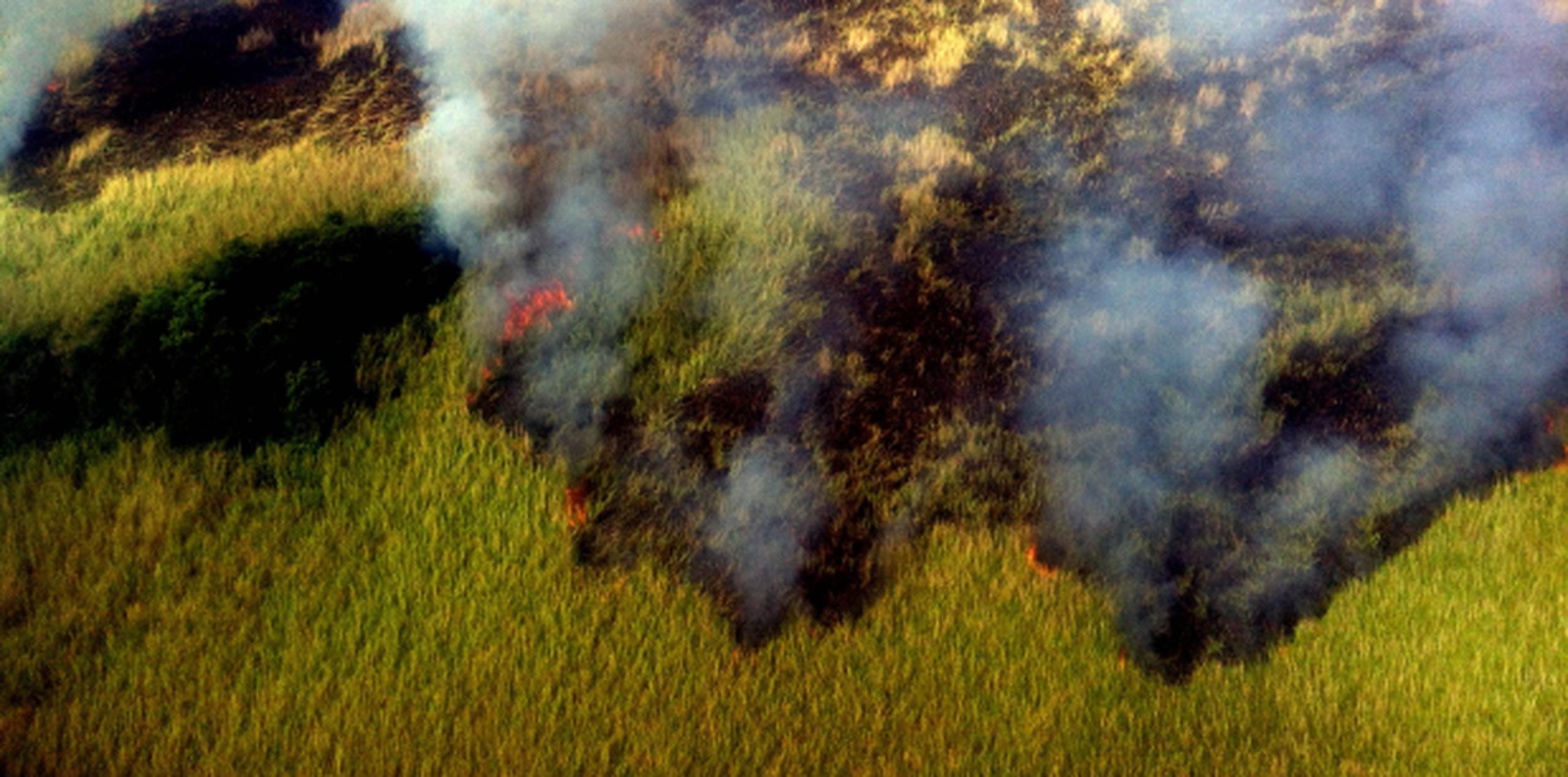 La mayoría de los fuegos forestales son ocasionados por personas que les pegan fuego a los pastos. (Archivo)