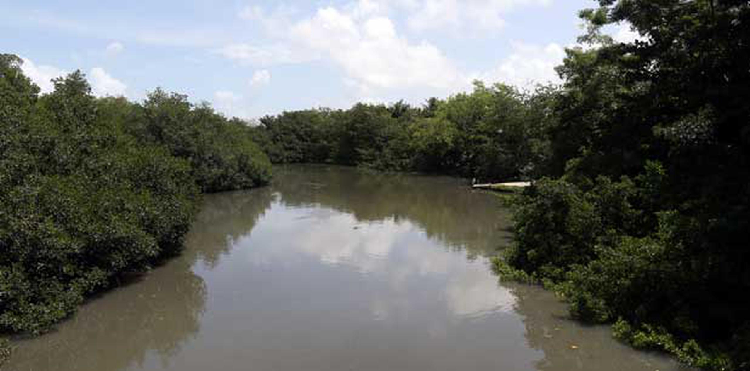 El Caño Martín Peña es un canal natural de una longitud de 3.75 millas que conecta la Bahía de San Juan con las lagunas Los Corozos y San José obstruido por la sedimentación. (Archivo)