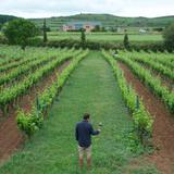 Director boricua realiza serie sobre viñedos en España