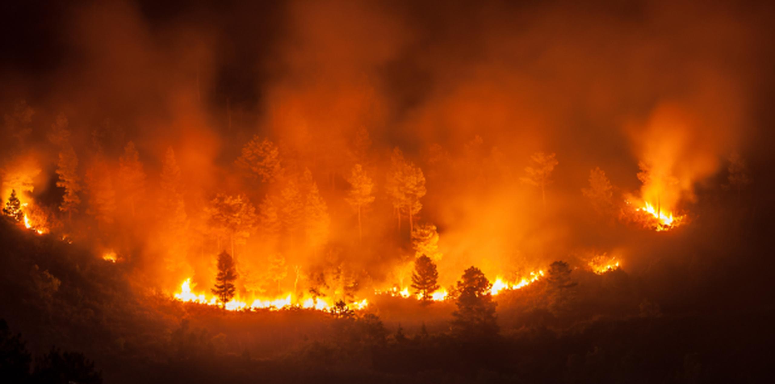 Los incendios, las inundaciones fluviales, las tormentas de viento y las sequías registrarán un avance menor, en comparación con los fenómenos más peligrosos. (Shutterstock)