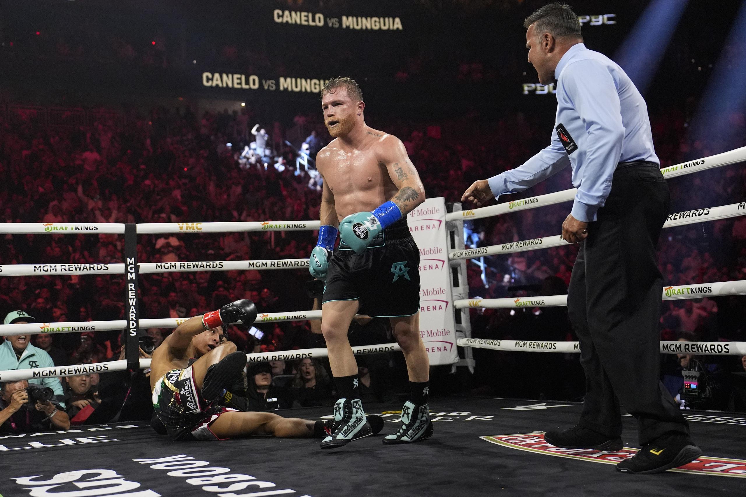 El mexicano Saúl "Canelo" Álvarez derriba a su compatriota Jaime Munguía en la pelea del sábado 4 de mayo de 2024, en Las Vegas