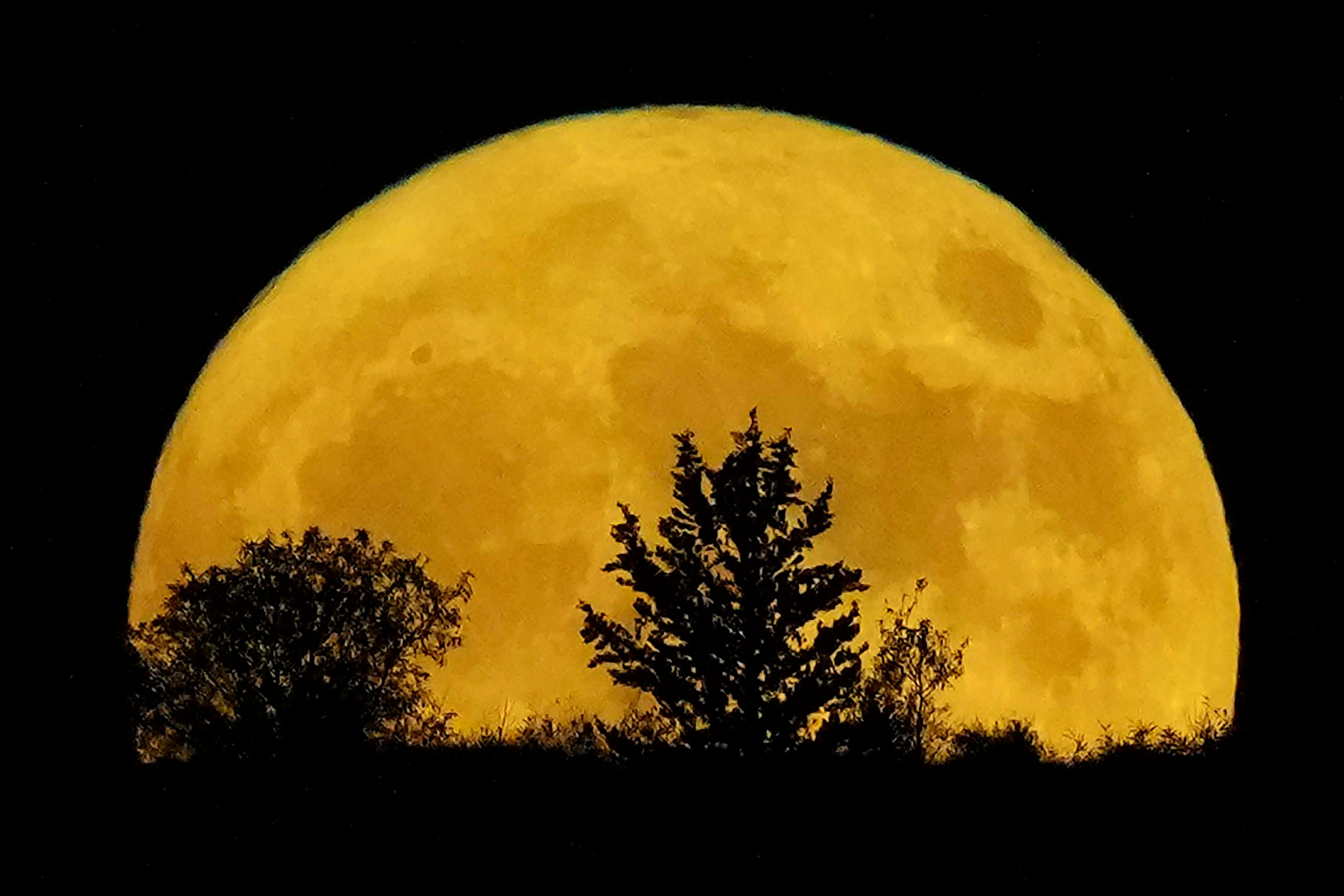El divulgador científico recomendó observar la luna entre 6:50 y 7:20 p.m., cuando el astro estará mas cerca de objetos terrestres, lo que servirá como referencia para percatarse de que se ve más grande.