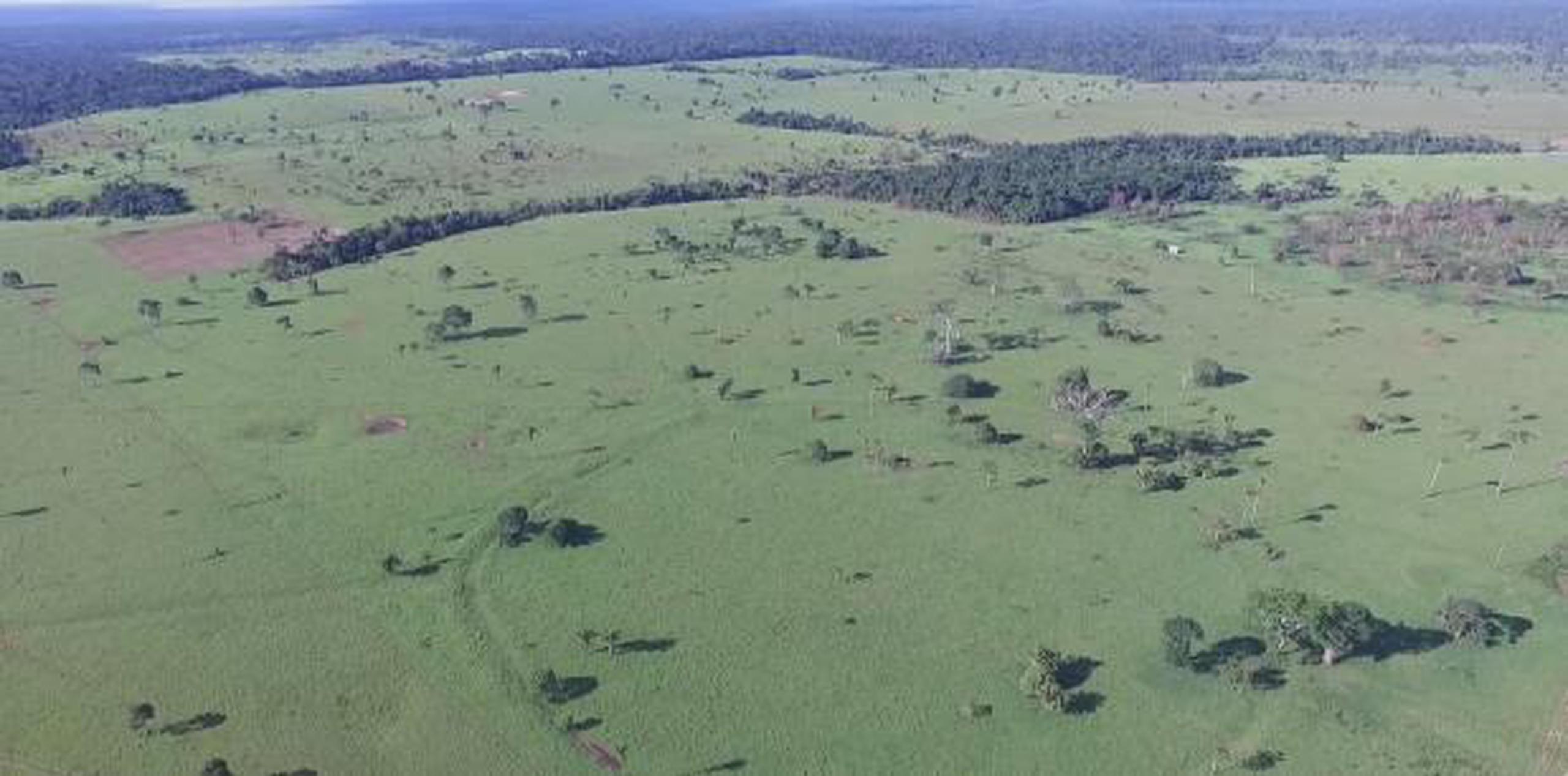 La Amazonía de Brasil y Bolivia tiene más de 800 geoglifos, 523 de los cuales están en Acre, uno de los estados más pobres del país. (EFE)