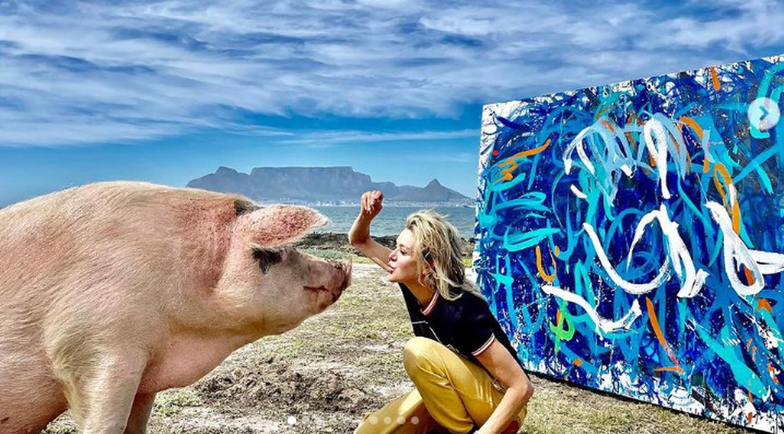 La cerda llamada "Pigcasso" fue salvada de una muerte segura por la activista Joanne Lefson, quien se percató que el animal había roto todos sus juguetes, menos un pincel. De ahí que la introdujera al uso de pinturas frente a un lienzo.