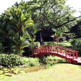 Reabre el Jardín Botánico de la UPR con un sistema de citas