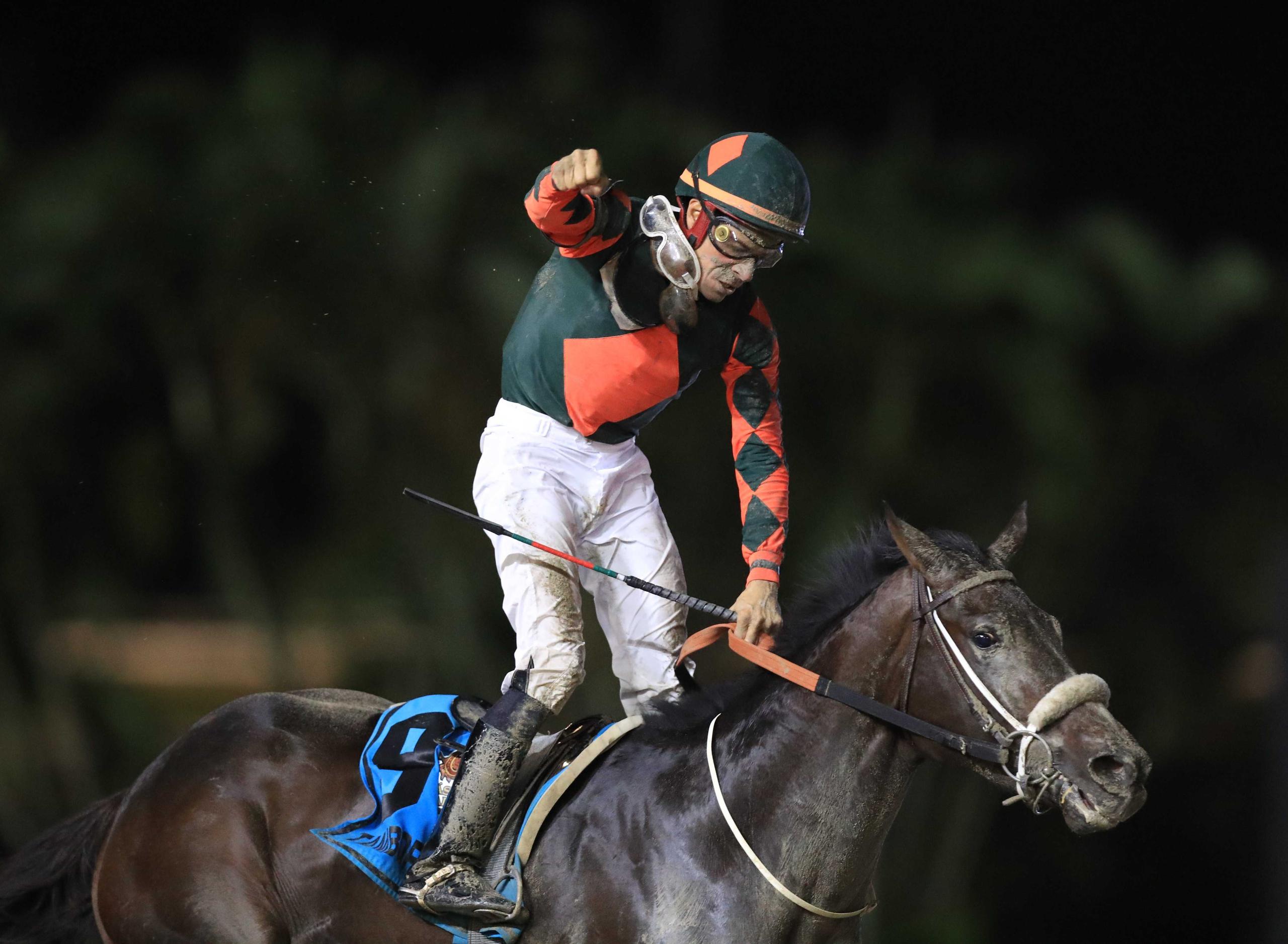 El caballo puertorriqueño Tamborero gana el Clsico del Caribe 2021 en el Hipódromo Camarero. 

Foto ramon.zayas@gfrmedia.com