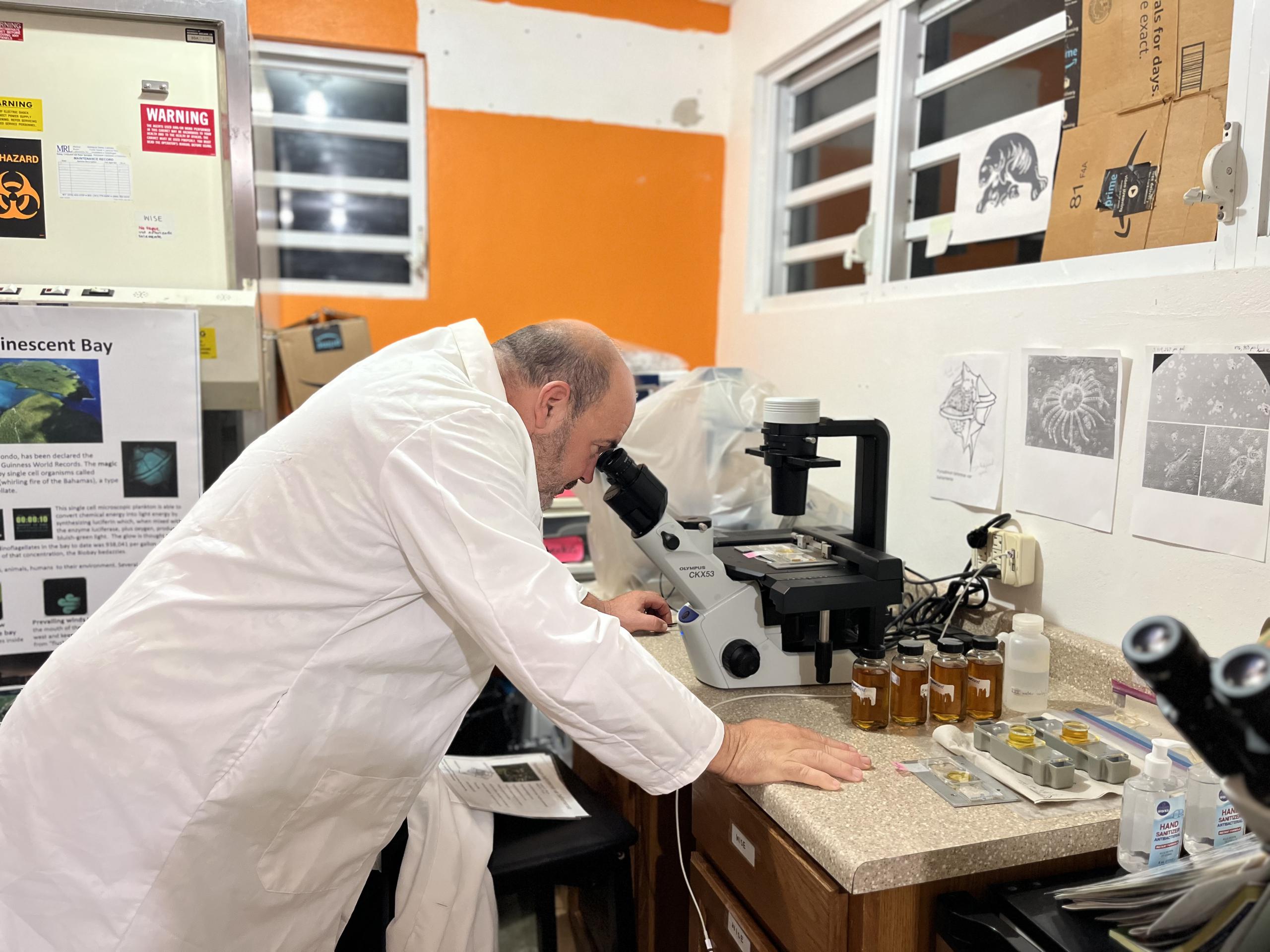 El científico e investigador Mark Martín Bras trabaja en su laboratorio el 12 de diciembre de 2023, en la isla de Vieques, en el este de Puerto Rico. (EFE/Esther Alaejos)