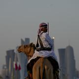 Hasta los camellos trabajan horas extra en el Mundial en Qatar